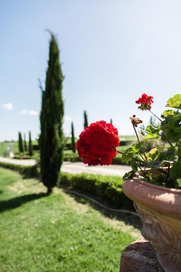 Podere San Giuseppe Castiglione del Lago Kültér fotó