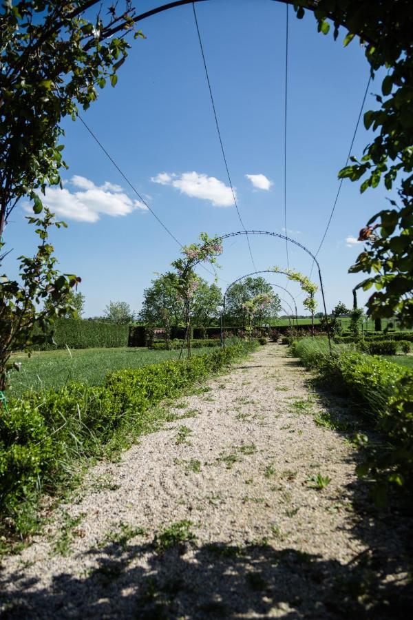 Podere San Giuseppe Castiglione del Lago Kültér fotó